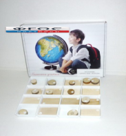 Коллекция "Древесные породы" - fgospostavki.ru - Махачкала