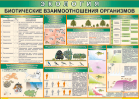 Таблица "Биотические взаимоотношения организмов" (100х140 сантиметров, винил) - fgospostavki.ru - Махачкала