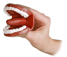 Муляж артикуляционного аппарата - fgospostavki.ru - Махачкала