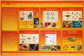 Электрифицированный стенд «Эпизоотология сельскохозяйственных животных» - fgospostavki.ru - Махачкала