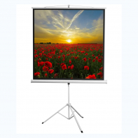 Экран на штативе DSKD-1105  - fgospostavki.ru - Махачкала