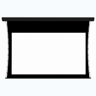 Экран настенный с электроприводом DSTPX-16915 - fgospostavki.ru - Махачкала