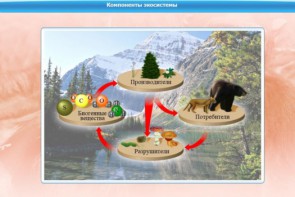 Интерактивные курсы. Биология 7 класс. Базовый. - fgospostavki.ru - Махачкала