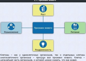 Интерактивные курсы. Биология 5 класс. Базовый - fgospostavki.ru - Махачкала