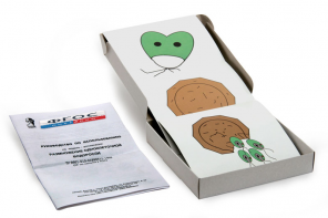 Модель-аппликация "Размножение одноклеточной водоросли" (набор из 11 карт) - fgospostavki.ru - Махачкала