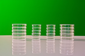 Набор чашек Петри - fgospostavki.ru - Махачкала