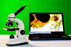 Микроскоп школьный с цифровой камерой - fgospostavki.ru - Махачкала