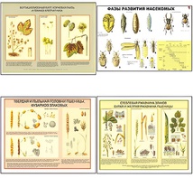Плакаты ПРОФТЕХ "Вредители и болезни с/х культур и меры борьбы с ними" (11 пл, винил, 70х100) - fgospostavki.ru - Махачкала