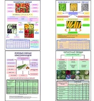 Плакаты ПРОФТЕХ "Классификация овощей" (11 пл, винил, 70х100) - fgospostavki.ru - Махачкала
