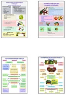 Плакаты ПРОФТЕХ "Классификация овощей и переработка" (8 пл, винил, 70х100) - fgospostavki.ru - Махачкала