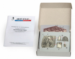 Модель-аппликация "Растительные ткани" (набор из 15 карт) - fgospostavki.ru - Махачкала