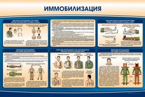 Стенд "Иммобилизация" - fgospostavki.ru - Махачкала