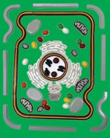 Модель-аппликация "Строение клетки" (набор из 54 пластмассовых фигур) - fgospostavki.ru - Махачкала