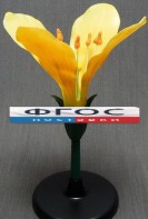 Модель "Цветок капусты" - fgospostavki.ru - Махачкала