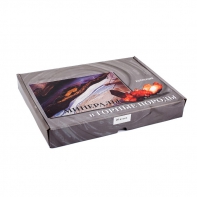 Коллекция "Минералы и горные породы" (20 видов) - fgospostavki.ru - Махачкала