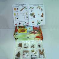 Коллекция "Семена и плоды с раздаточным материалом" - fgospostavki.ru - Махачкала