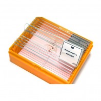 Набор готовых микропрепаратов (зоология) - fgospostavki.ru - Махачкала