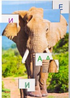 Магнитная орфография (безударные гласные, 1 класс) "Слон" - fgospostavki.ru - Махачкала