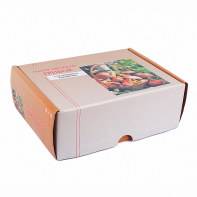 Набор муляжей грибов съедобных и ядовитых - fgospostavki.ru - Махачкала