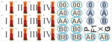 Модель-аппликация Генетика групп крови (демонстрационный набор из 34 карт) - fgospostavki.ru - Махачкала