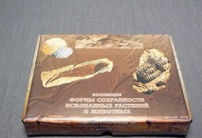 Коллекция "Формы сохранности ископаемых растений и животных" - fgospostavki.ru - Махачкала