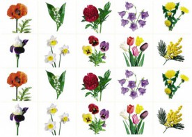 Комплект карточек "Запоминай, играй, считай" - Цветы - fgospostavki.ru - Махачкала