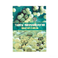 Набор «Тайны микробиологии» (Царство грибов) - fgospostavki.ru - Махачкала