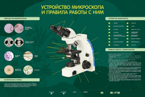 Электрифицированный стенд "Устройство микроскопа и правила работы c ним" - fgospostavki.ru - Махачкала