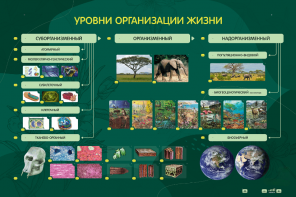 Электрифицированный стенд "Уровни организации жизни" - fgospostavki.ru - Махачкала