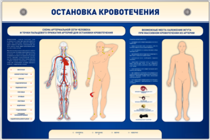 Электрифицированный стенд-тренажер "Остановка кровотечения" - fgospostavki.ru - Махачкала