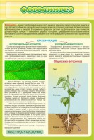 Стенд "Фотосинтез" - fgospostavki.ru - Махачкала