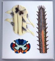 Модель барельефная "Строение спинного мозга" - fgospostavki.ru - Махачкала