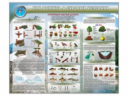 Стенд "Как выжить в суровых условиях" - fgospostavki.ru - Махачкала