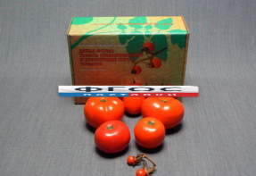 Набор муляжей "Дикая форма и культурные сорта томатов" - fgospostavki.ru - Махачкала