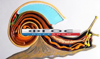 Модель барельефная "Внутреннее строение брюхоногого моллюска" - fgospostavki.ru - Махачкала