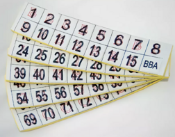 Фишки для игры «Бинго» со шрифтом Брайля - fgospostavki.ru - Махачкала