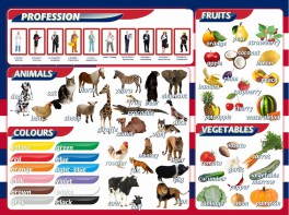 Стенд "Цвета, животные, профессии, фрукты, овощи" - fgospostavki.ru - Махачкала