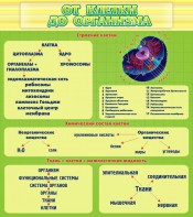 Стенд "От клетки до организма" - fgospostavki.ru - Махачкала