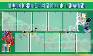 Стенд "Подготовка к ЕГЭ и ОГЭ по биологии" Вариант 2 - fgospostavki.ru - Махачкала