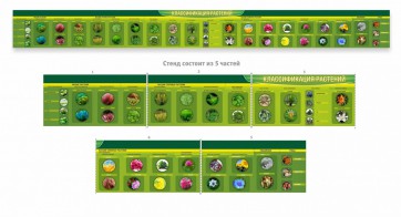 Стенд "Классификация растений" - fgospostavki.ru - Махачкала