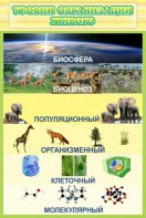 Стенд "Уровни организации живого" - fgospostavki.ru - Махачкала