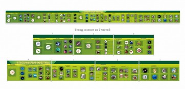 Стенд "Классификация групп животных" - fgospostavki.ru - Махачкала