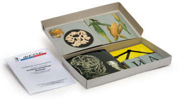 Модель-аппликация "Основные направления эволюции" (набор из 33 карт) - fgospostavki.ru - Махачкала