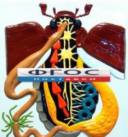 Модель барельефная "Внутреннее строение жука" - fgospostavki.ru - Махачкала