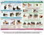 Комплект плакатов "Оказание первой доврачебной медицинской помощи" - fgospostavki.ru - Махачкала