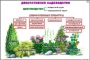 Комплект кодотранспарантов "Культурные растения" - fgospostavki.ru - Махачкала