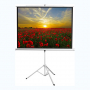 Экран на штативе DSKD-4303 - fgospostavki.ru - Махачкала
