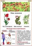 Комплект кодотранспарантов "Ядовитые растения" - fgospostavki.ru - Махачкала
